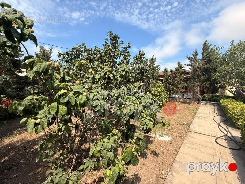Satılır Torpaq sahəsi, 12 sot, Xəzər rayonu — Torpaq, Bakı (8)