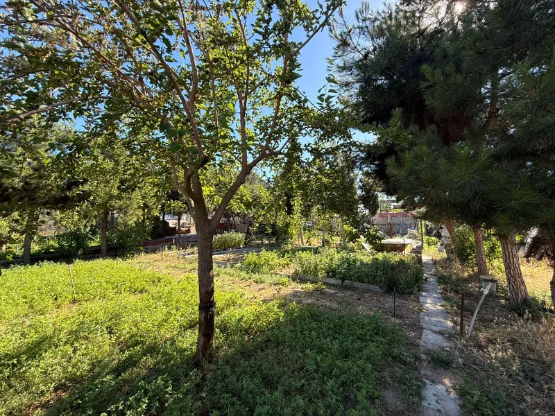 Şağan, Torpaq satılır - 7 sot — Torpaq, Bakı (3)