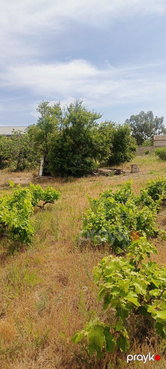 Satılır torpaq 40 sot — Torpaq, Bakı (5)