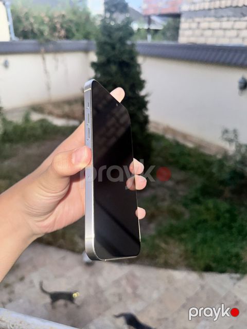 Apple iPhone 15 Pro Max Natural Titanium 256GB/8GB — Gəncə