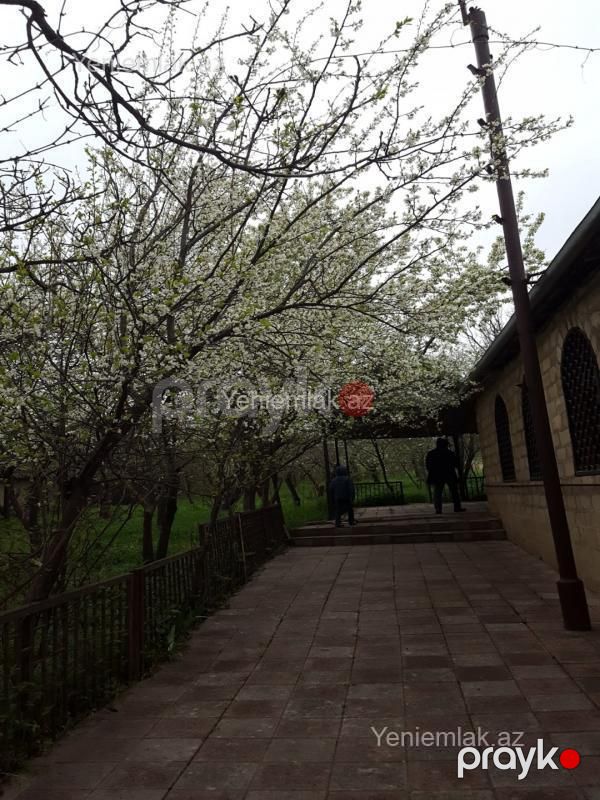 Satılır 4 otaqlı Həyət evi / Villa, 100 m², Şamaxı — Ev, villa, Şamaxı (5)