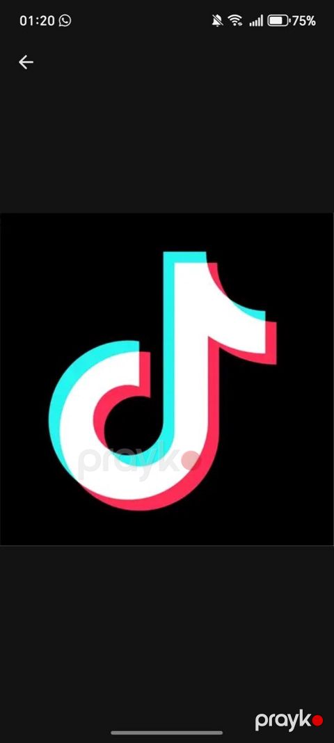 Tik Tok səhifəsi — Masallı