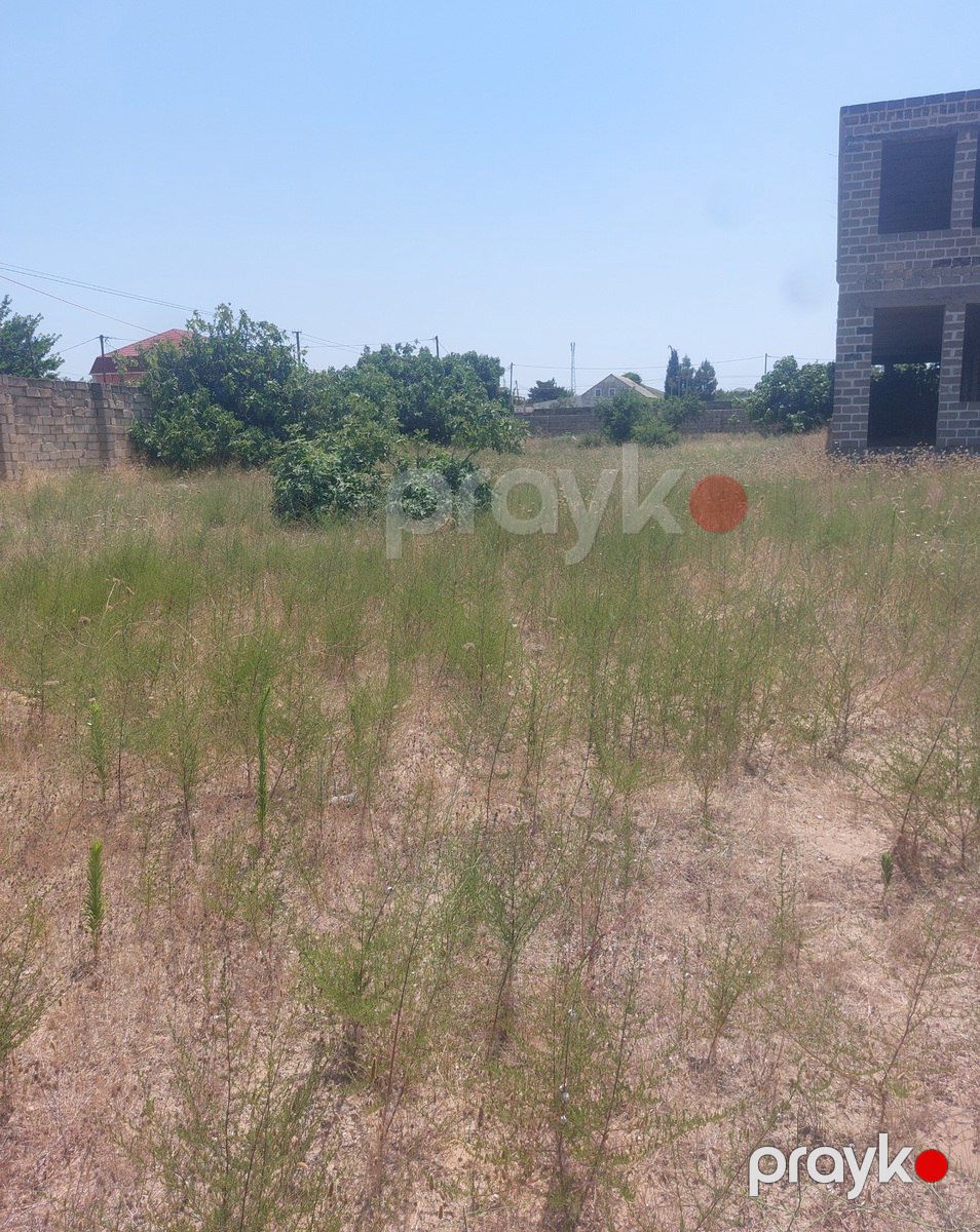 Satılır torpaq 12 sot — Torpaq, Bakı (2)