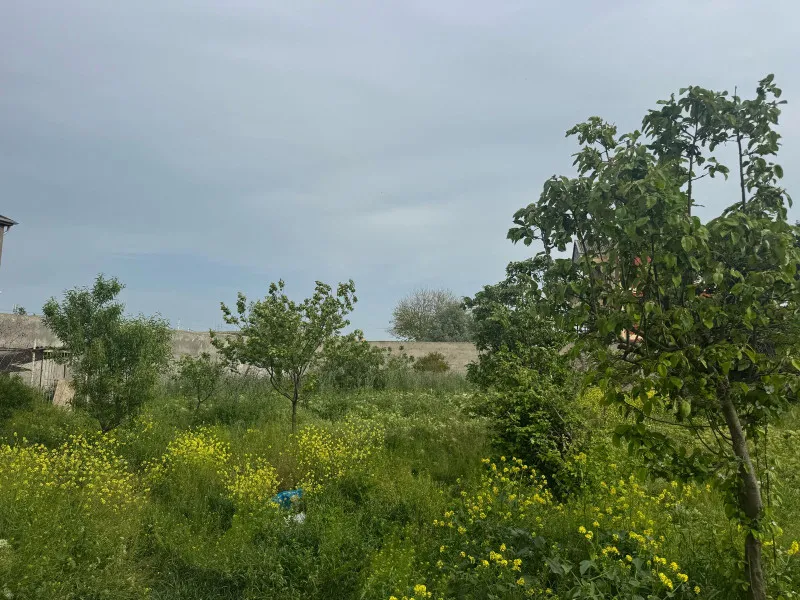 Mərdəkan, Torpaq satılır - 15 sot — Torpaq, Bakı (4)