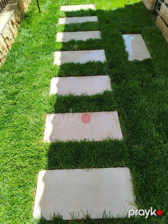 Qazon — Bitkilər, Bakı (5)