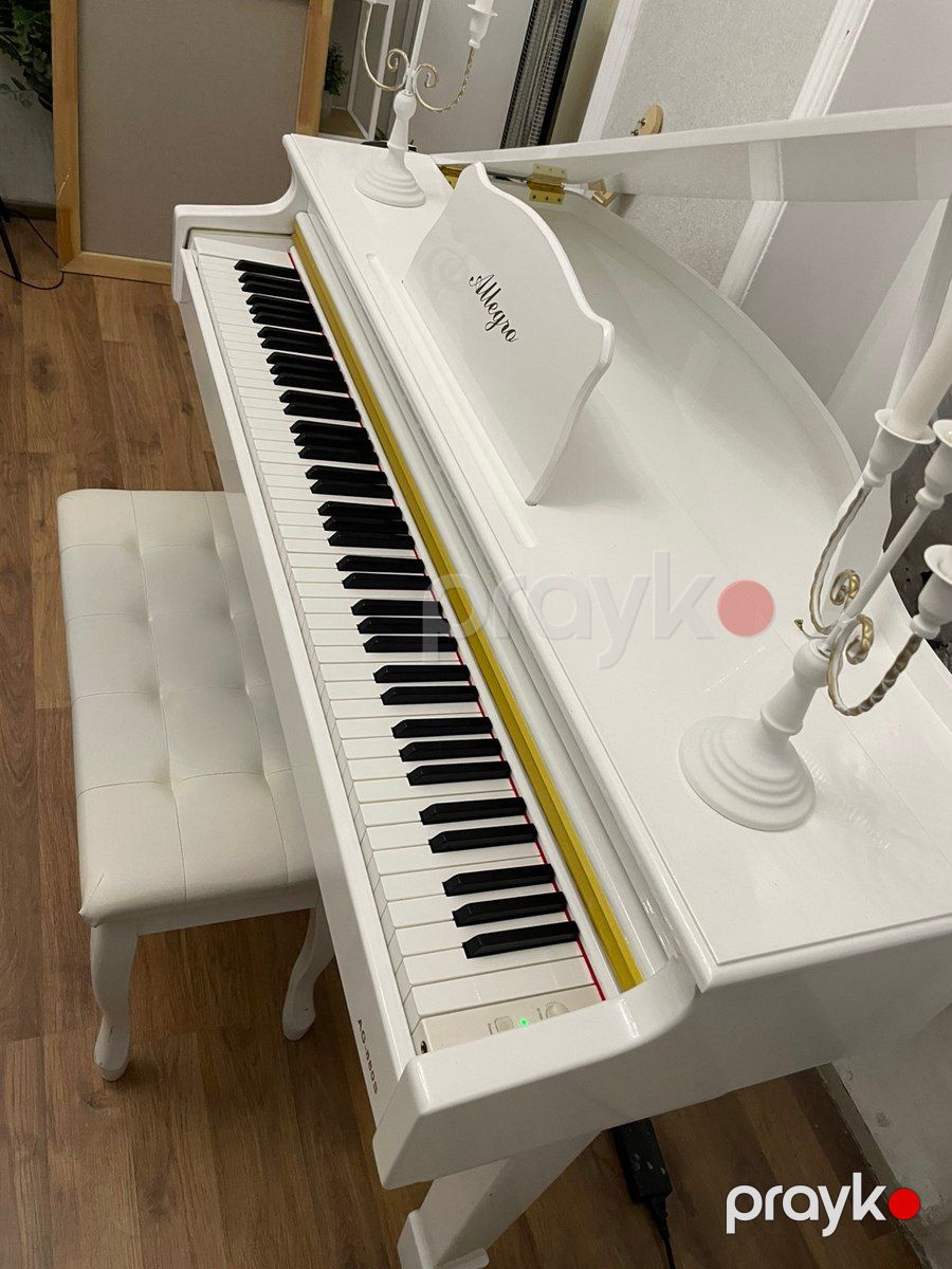 Elektro piano — Musiqiə alətləri, Bakı (3)