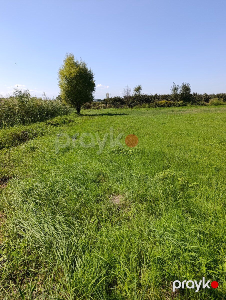 2.14 sot torpaq sahəsi, Qusar r — Torpaq, Qusar (2)