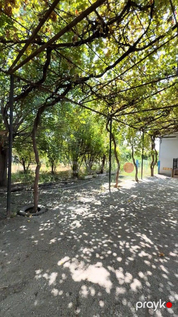 Həyət evi, Bərdə r — Ev, villa, Bərdə (3)