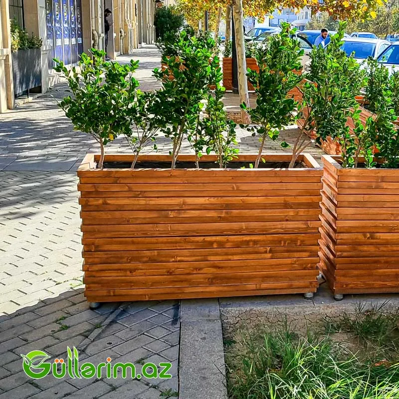 Taxta dibçək (Əl işi) 016 — Bağ dekorasiyası, Bakı (5)