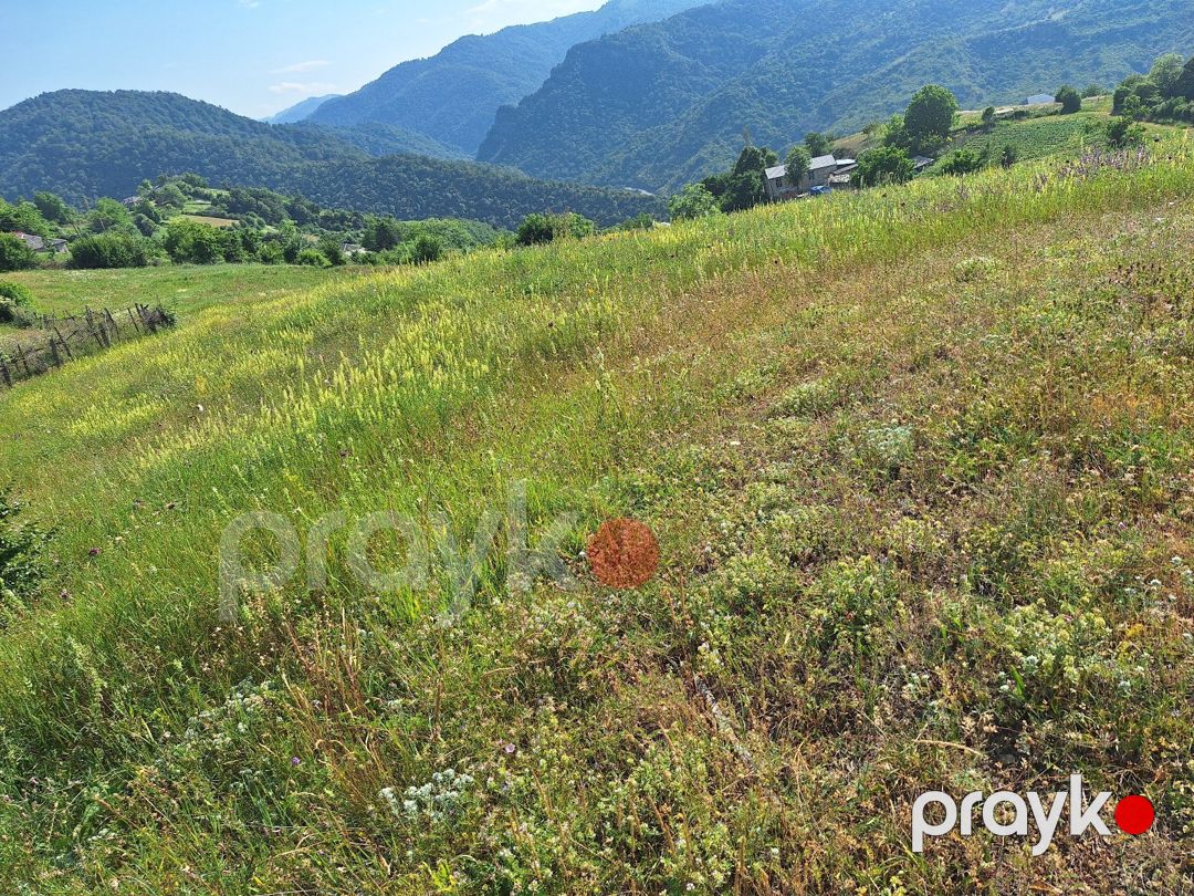 32 sot torpaq sahəsi, Tovuz r — Torpaq, Tovuz (4)