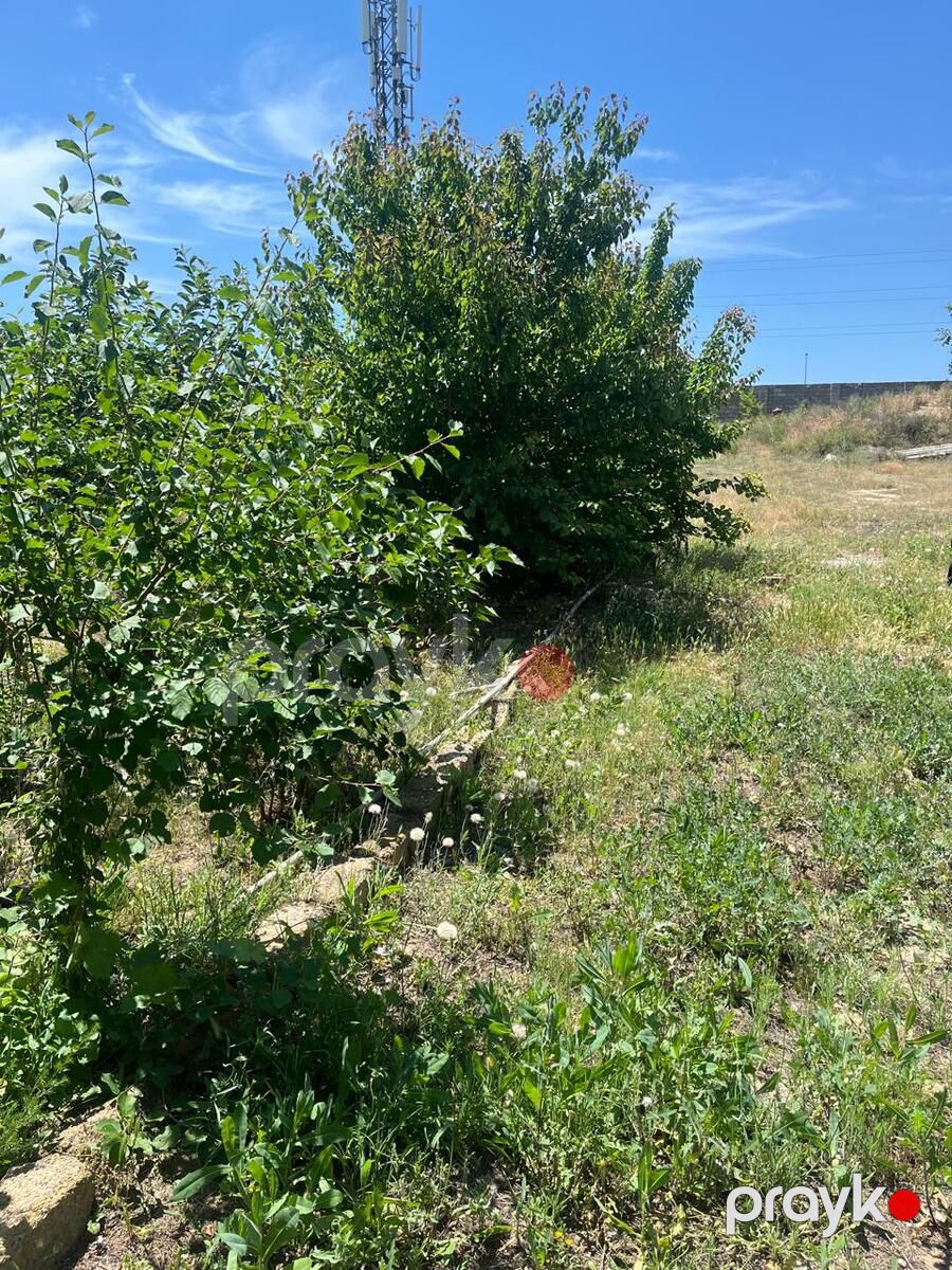 Satılır torpaq 8 sot — Torpaq, Bakı (7)