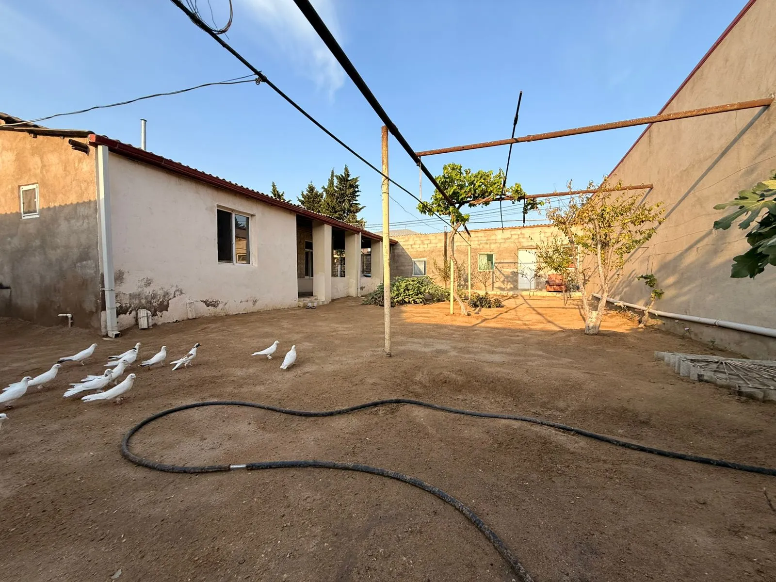 Şüvəlan, Torpaq satılır - 5 sot — Torpaq, Bakı (3)