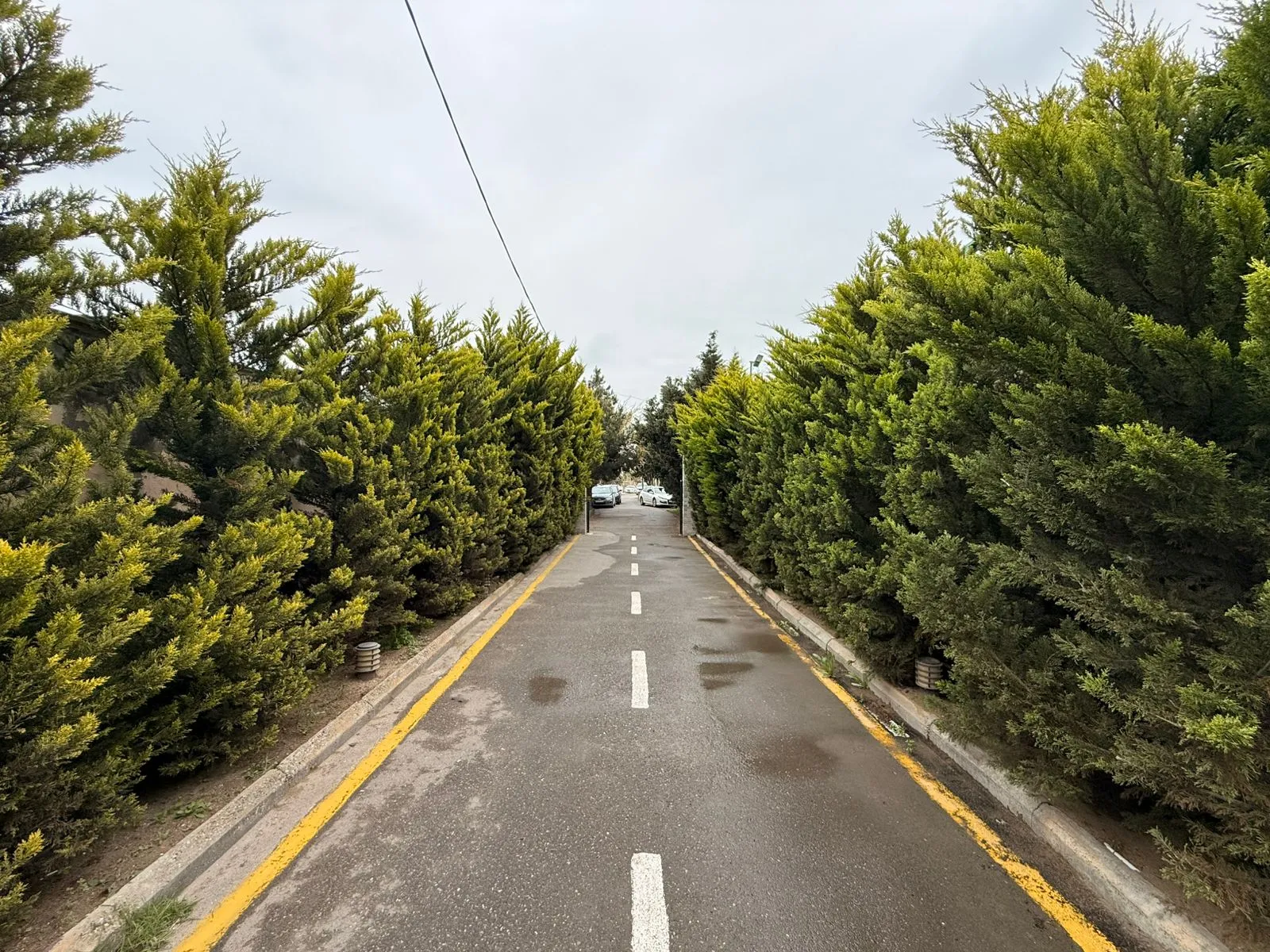 Şüvəlan, Torpaq satılır - 12 sot — Bakı
