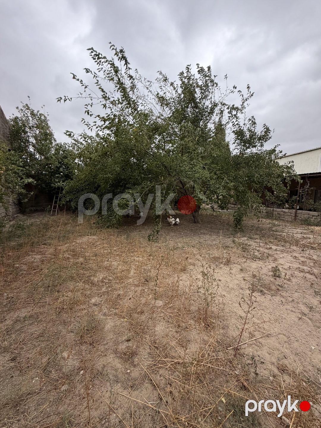Satılır torpaq 3 sot — Torpaq, Bakı (3)