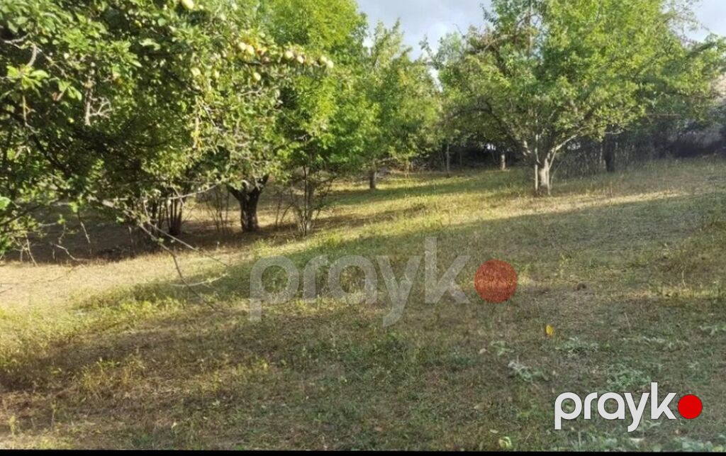 6 sot, Tikinti, Mülkiyyətçi, Kupça (Çıxarış) — Torpaq, Bakı (3)