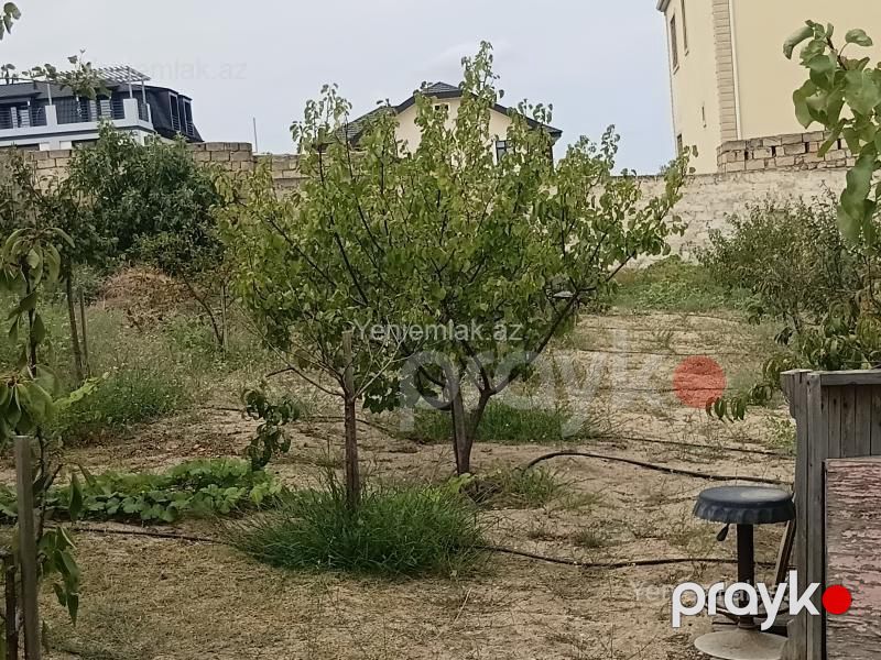Satılır Torpaq sahəsi, 10 sot, Novxanı bağ massivi — Torpaq, Sumqayıt (4)