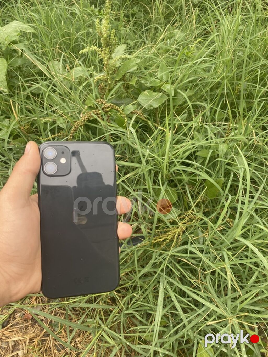 IPhone 11, Qara, Simsiz şarj — Apple iPhone, Bərdə (2)