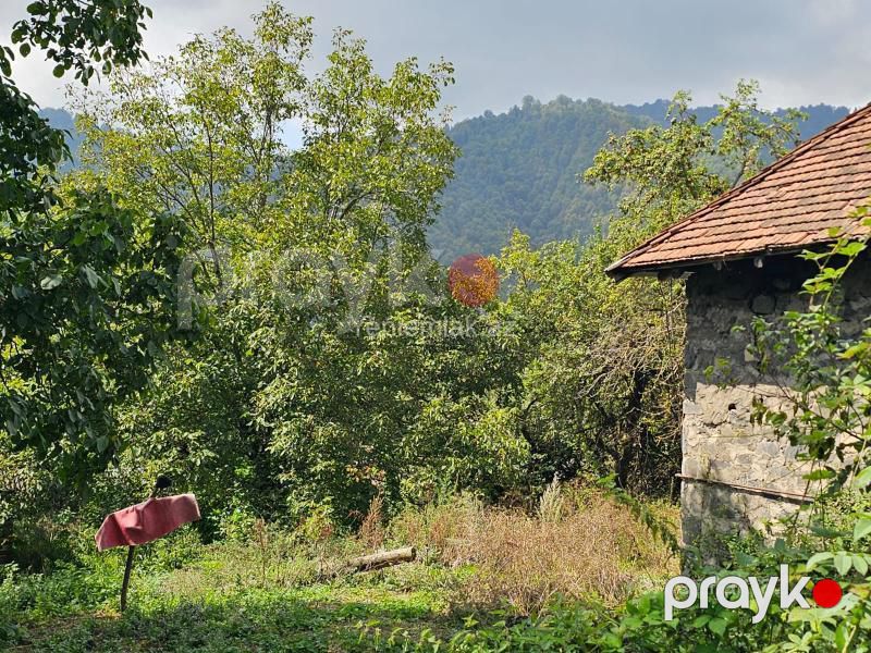 Satılır Torpaq sahəsi, 11 sot, Qəbələ — Torpaq, Qəbələ (3)
