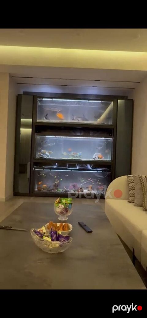 Akvarium — Bakı