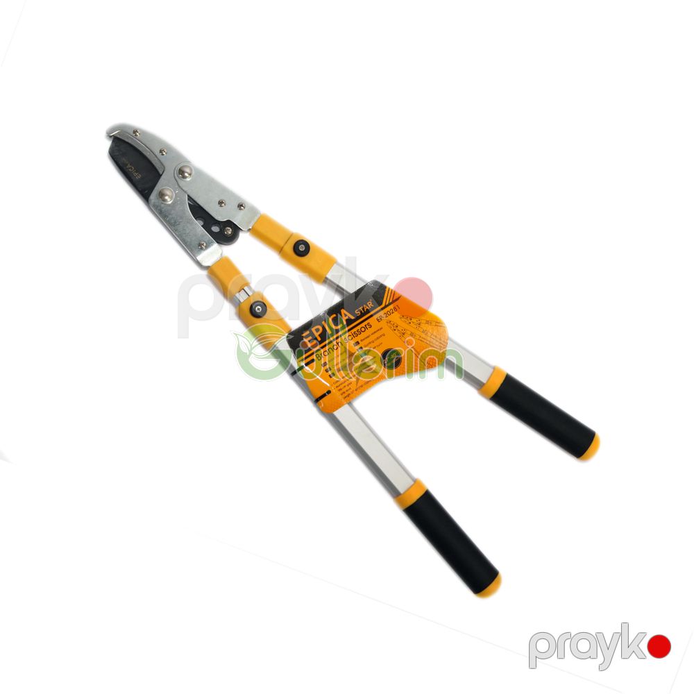 Epica Star Budama Qayçıları – EP-20281 — Bağ aləti, Bakı (2)