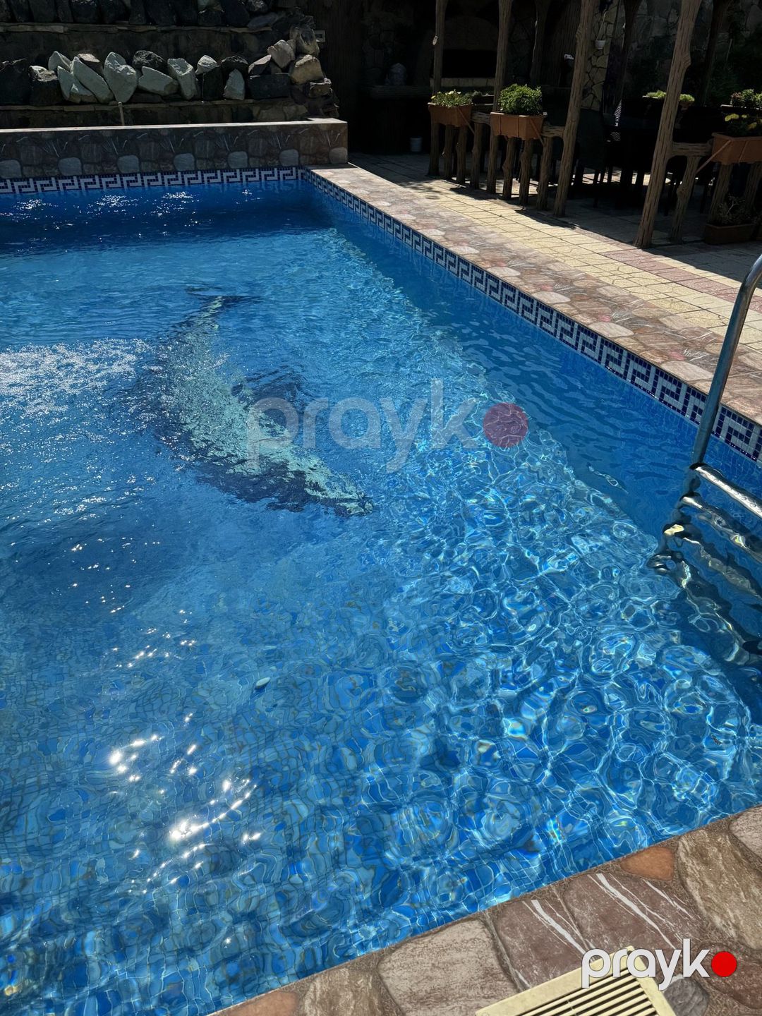 İcarəyə verilir 5 otaqlı həyət evi/bağ evi 300 m² — Ev, villa, Bakı (8)