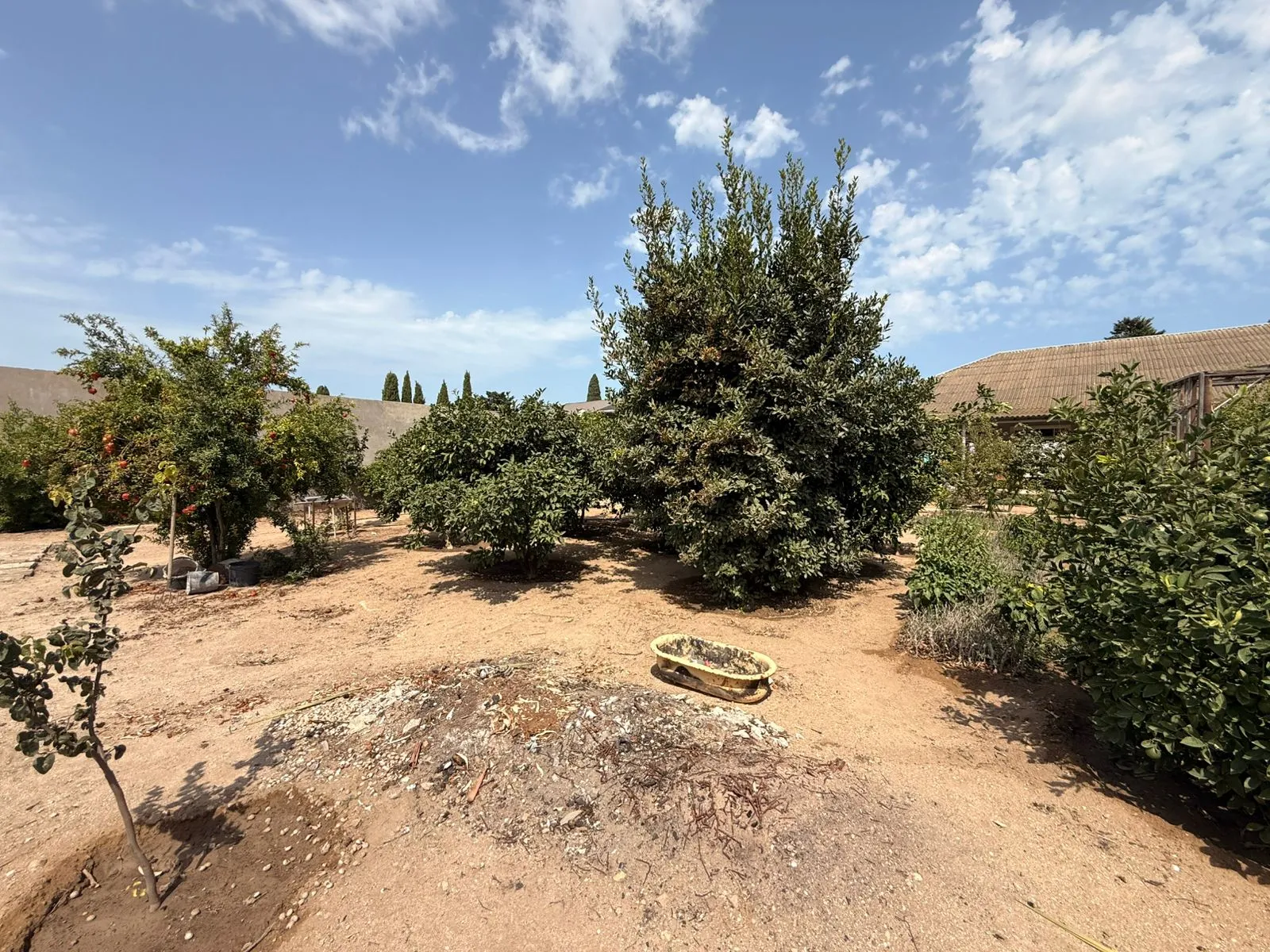 Şüvəlan, Torpaq satılır - 5 sot — Torpaq, Bakı (4)