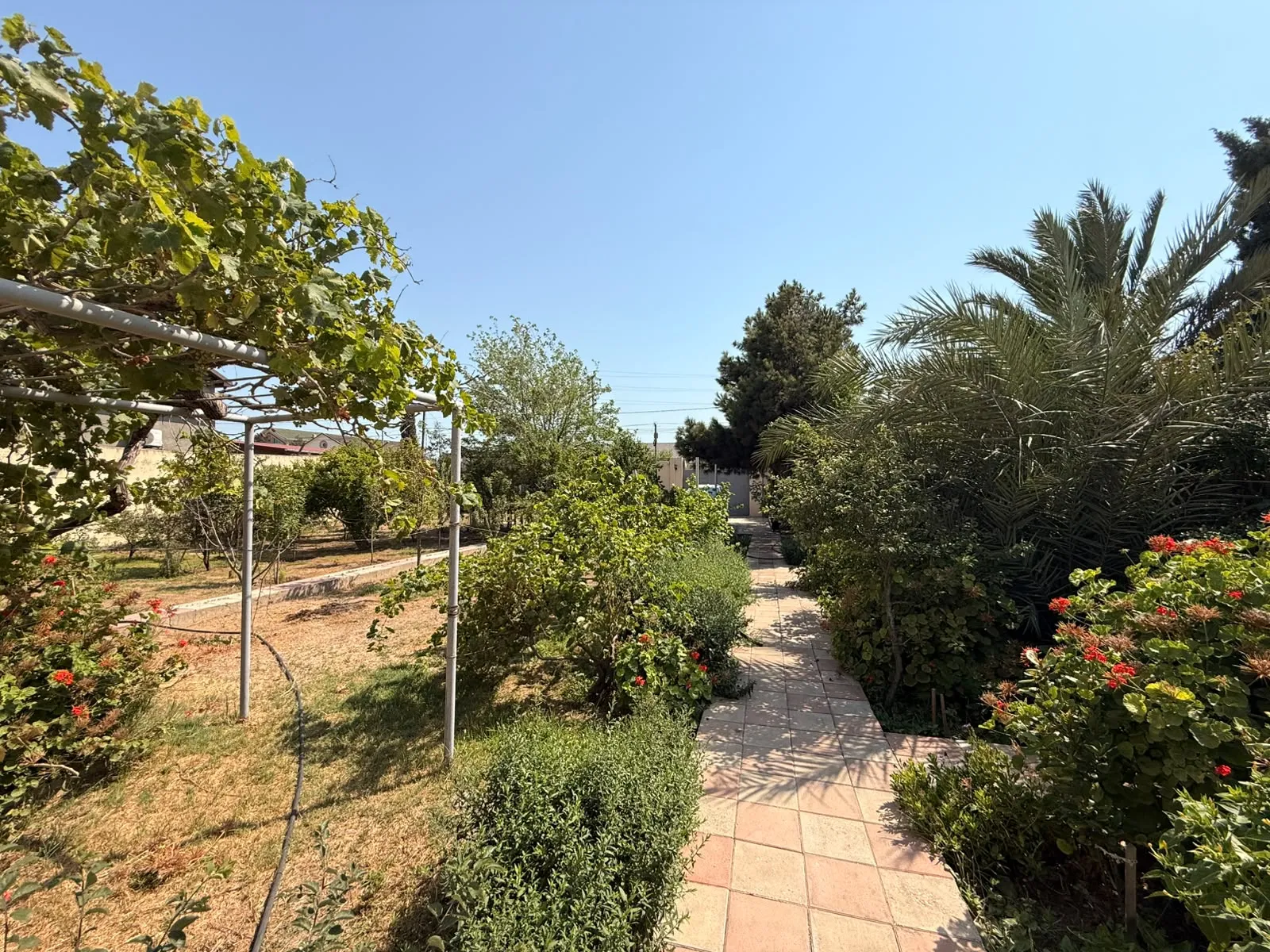 Şüvəlan, Torpaq satılır - 6 sot — Torpaq, Bakı (5)