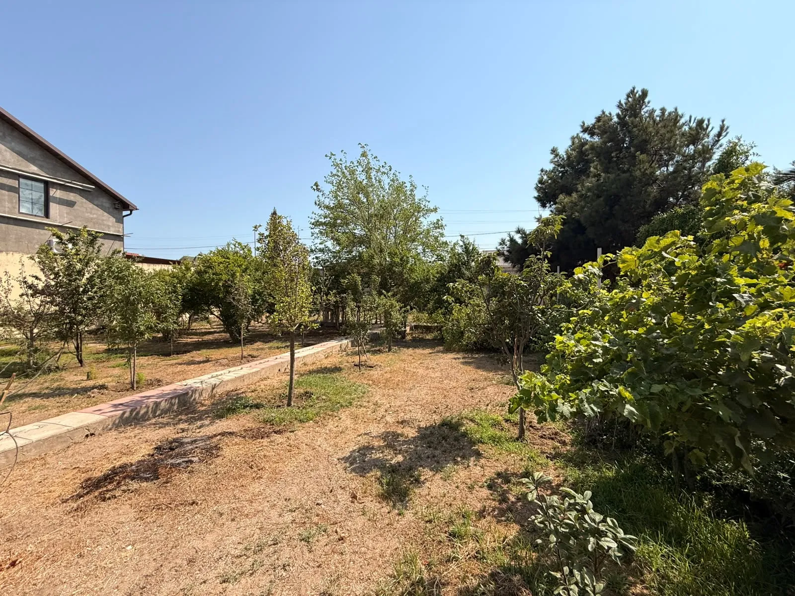 Şüvəlan, Torpaq satılır - 6 sot — Torpaq, Bakı (6)