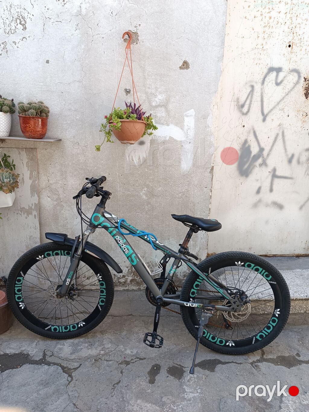 Velosiped – dağ/şəhər tipli, 24” təkər ölçüsü Xüsusiyyətlər — Dağ velosipedləri, Bakı (2)