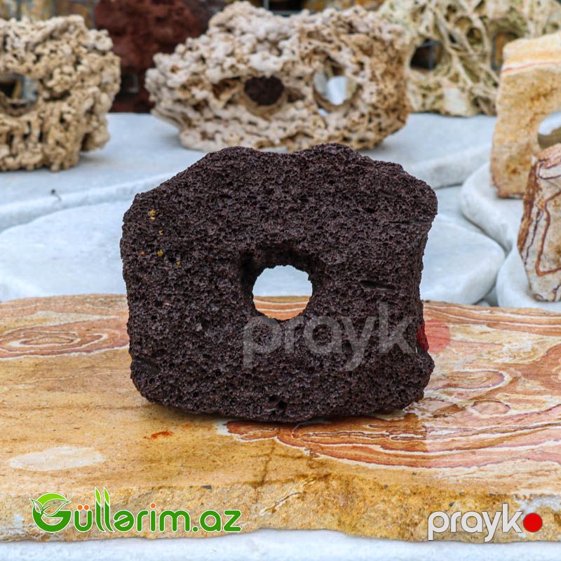 Dekorativ akvarium daşı (Bir halqalı) — Bağ dekorasiyası, Bakı (2)
