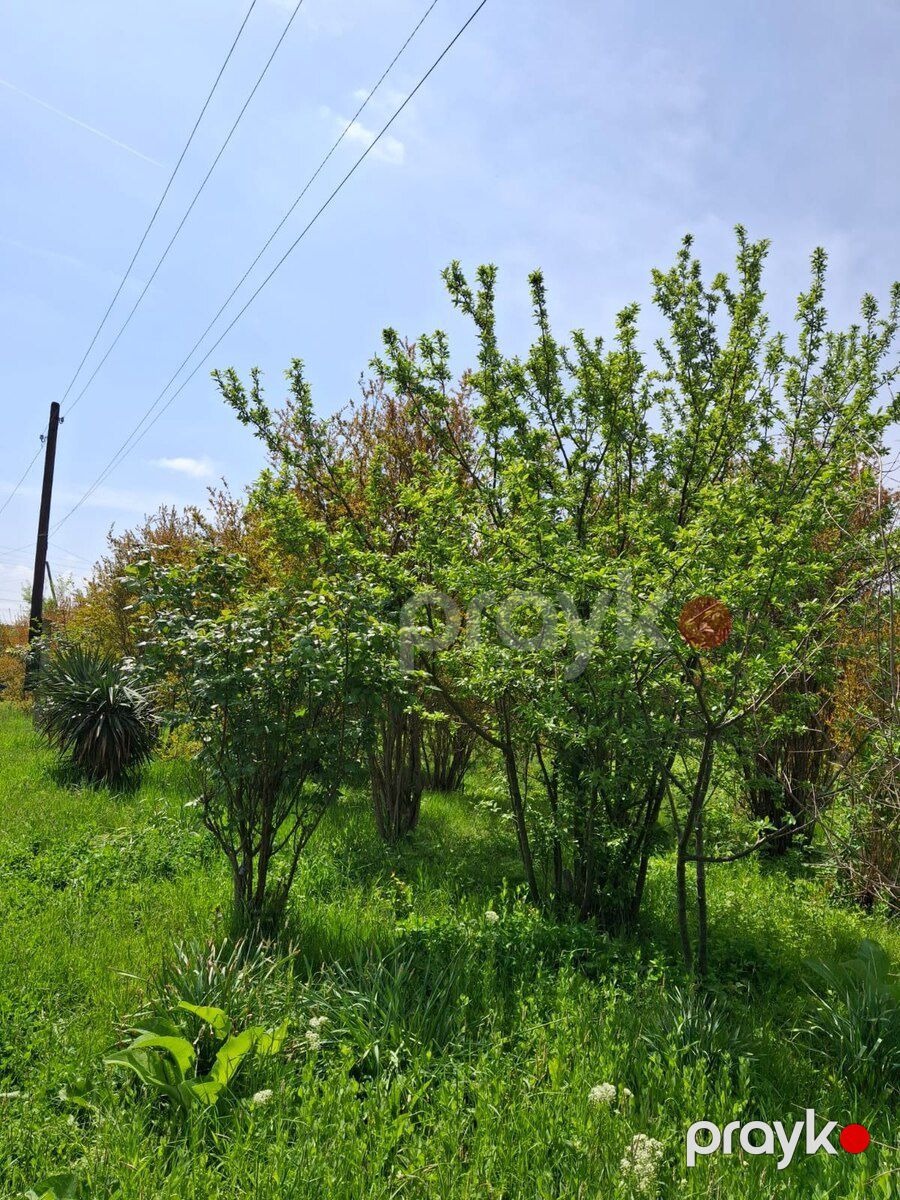 12 sot torpaq sahəsi, Ağdaş r — Torpaq, Ağdaş (7)