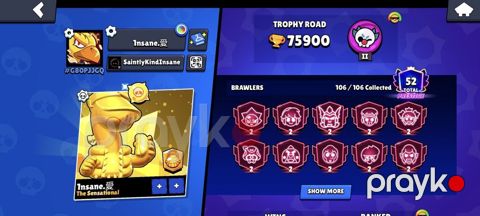 Kupa: 75,800+ Maksimum Səviyyə (11 lvl): 65 Brawler Skinlər (376): 18