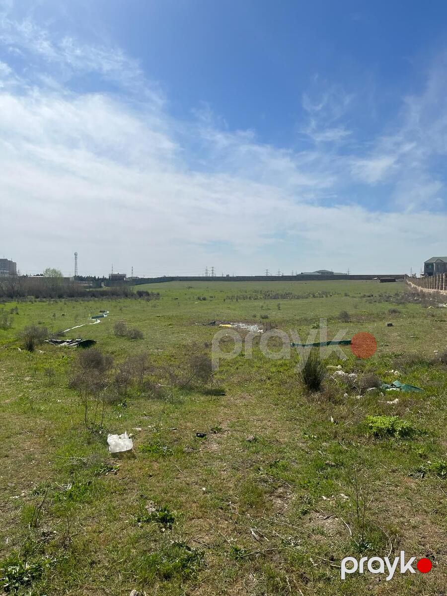 Satılır torpaq 200 sot — Torpaq, Bakı (3)