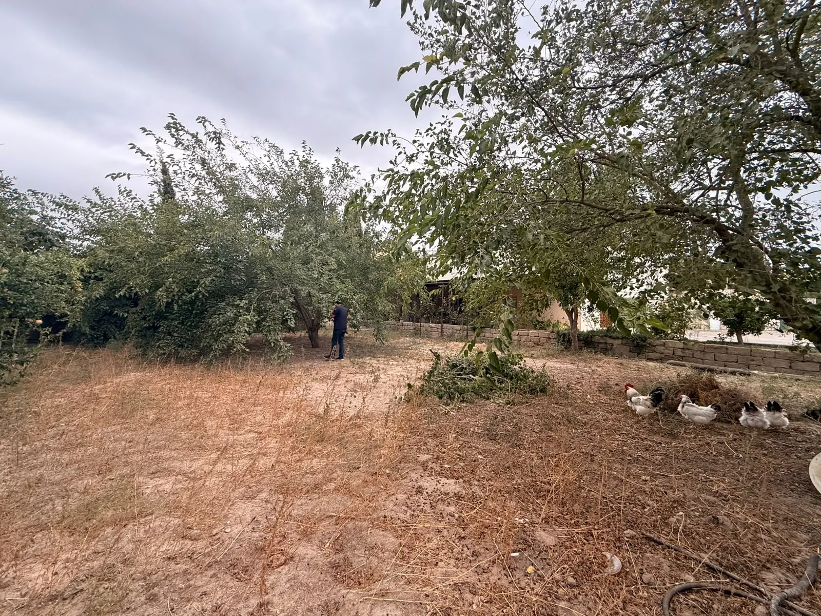 Mərdəkan, Torpaq satılır - 3 sot — Bakı