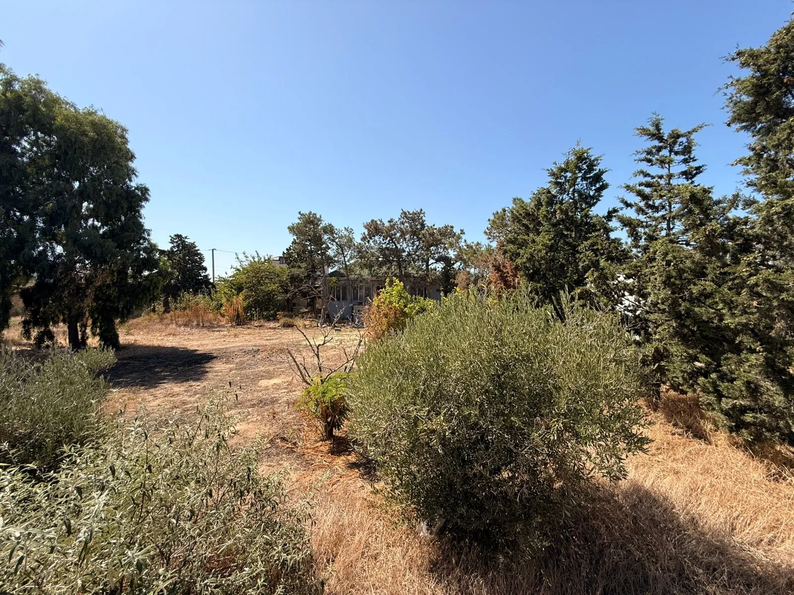 Şüvəlan, Torpaq satılır - 4 sot — Torpaq, Bakı (2)
