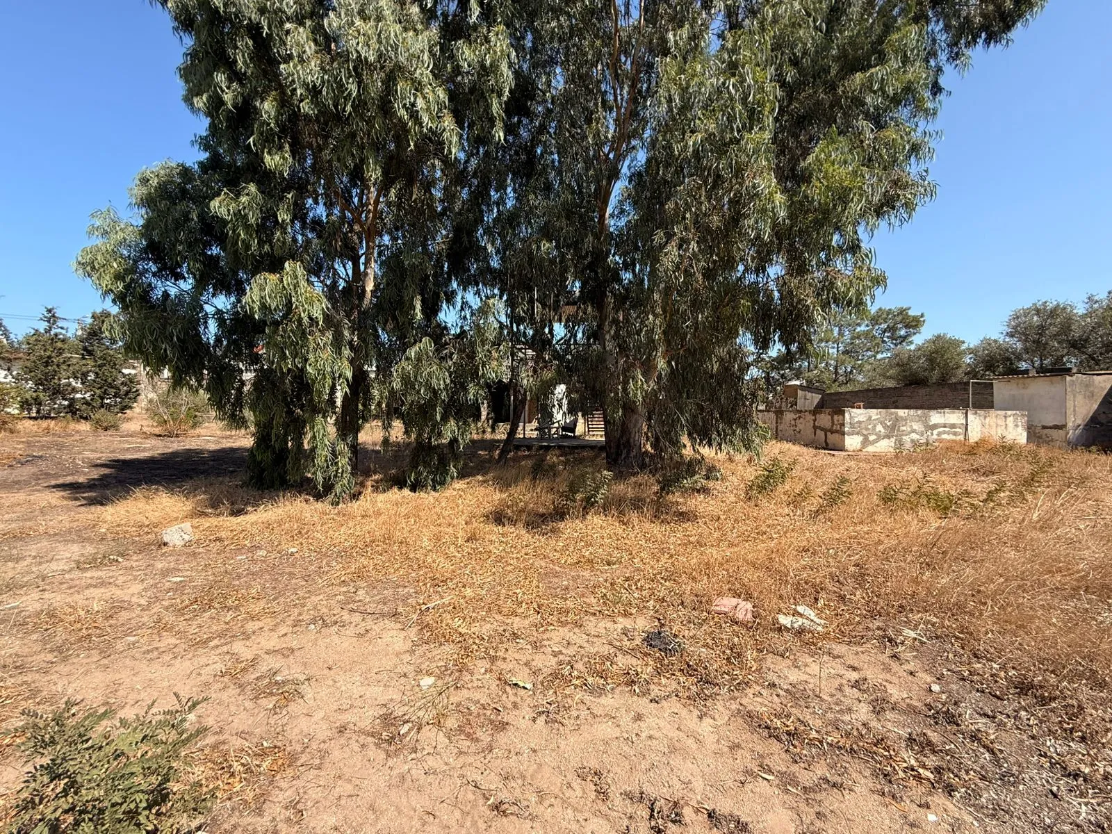 Şüvəlan, Torpaq satılır - 4 sot — Torpaq, Bakı (4)