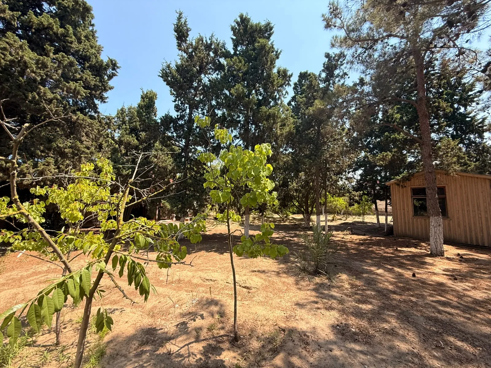 Mərdəkan, Torpaq satılır - 8 sot — Torpaq, Bakı (2)
