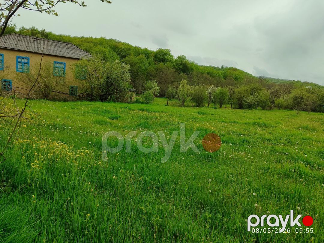 12 sot torpaq sahəsi, Xuray k — Torpaq, Qusar (4)