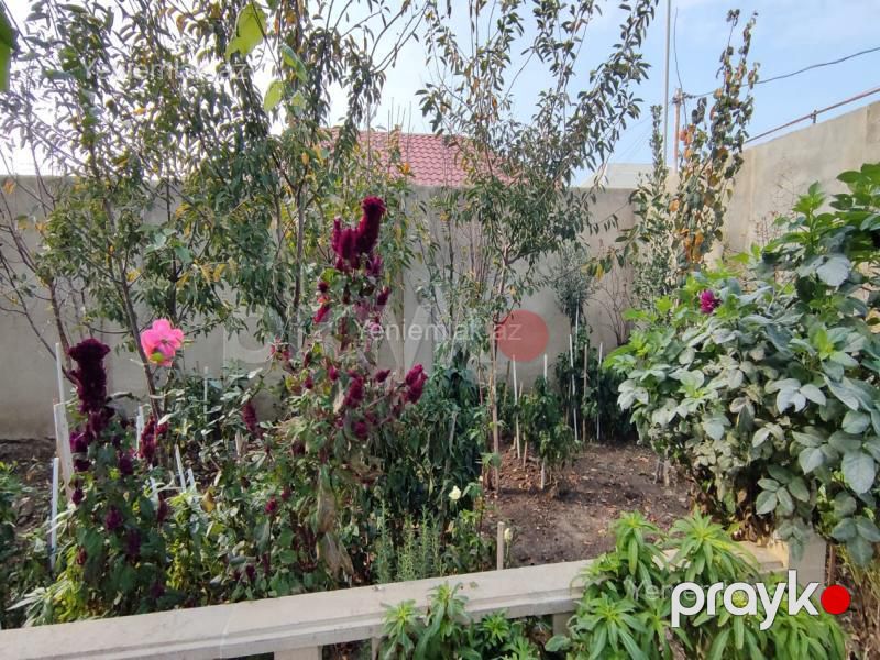 Satılır 4 otaqlı Həyət evi / Villa, 200 m², Corat bağları — Ev, villa, Sumqayıt (4)