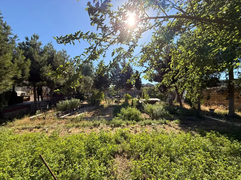 Şağan, Torpaq satılır - 7 sot — Torpaq, Bakı (2)