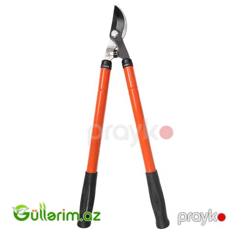 Elite Professional (Bağ Budama Qayçısı) — Bakı