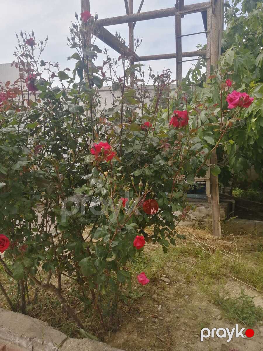 Satılır 9 otaqlı həyət evi/bağ evi 350 m² — Ev, villa, Bakı (6)