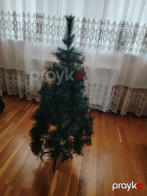 Yeni il ağacı — Bakı