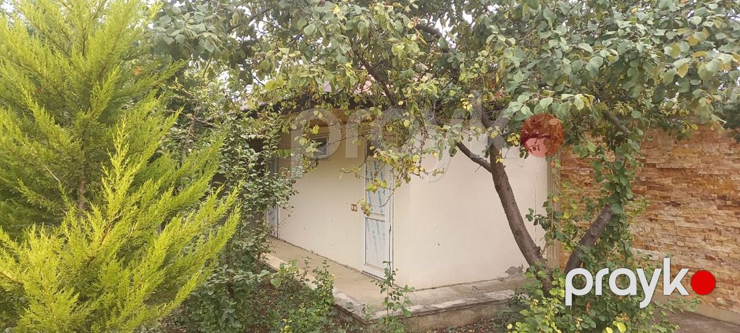 Satış: 5 otaqlı Ev / villa, 245 m², Şamaxı Əngixaran kəndi — Ev, villa (8)