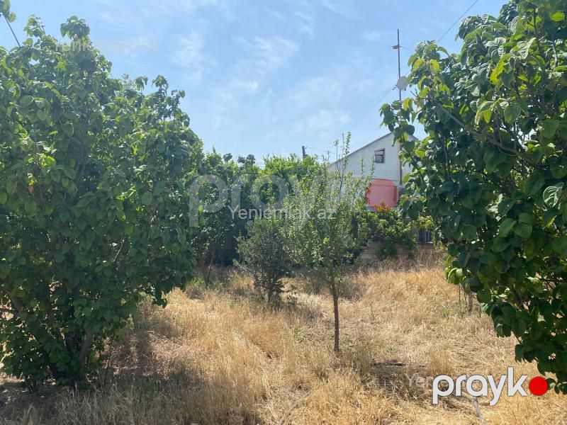 Satılır Torpaq sahəsi, 13 sot, Xəzər rayonu — Torpaq, Bakı (9)