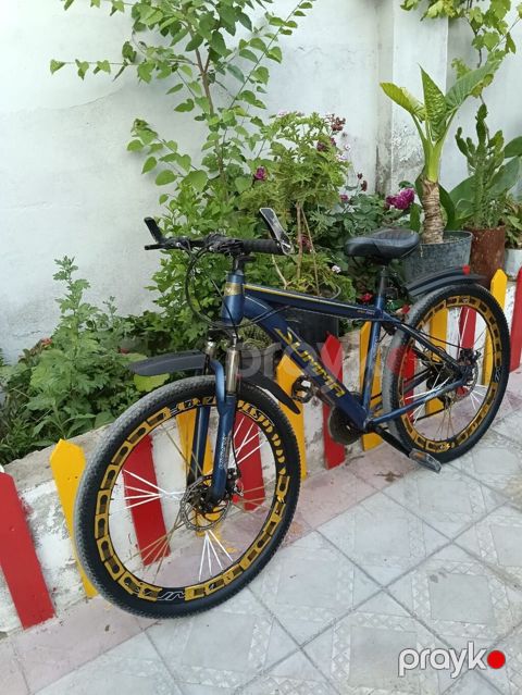 Marka/model: Summa SR-5001 dağ velosipedi - Çərçivə: yüngül — Bakı