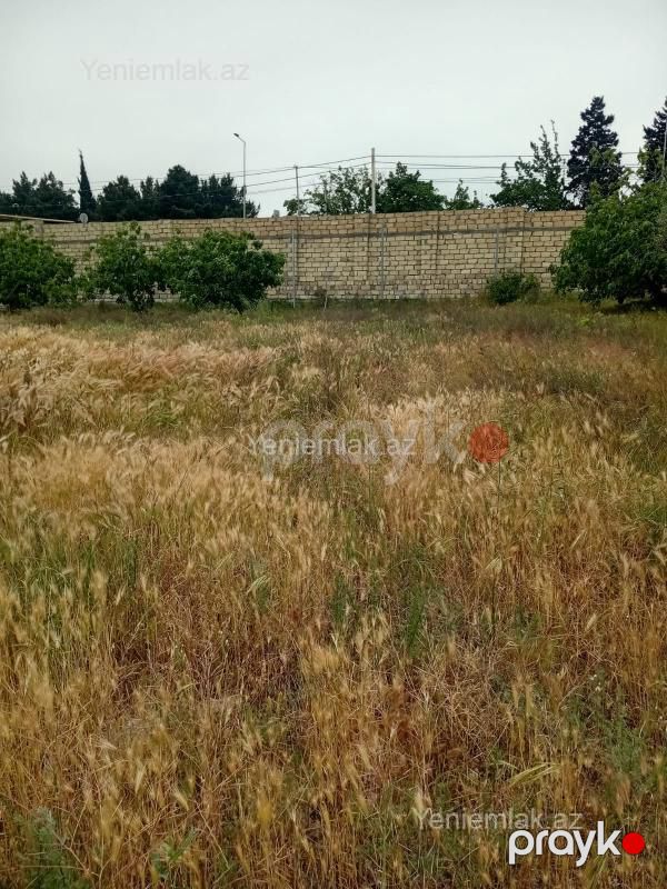 Satılır Torpaq sahəsi, 24 sot, Novxanı — Torpaq, Abşeron (5)