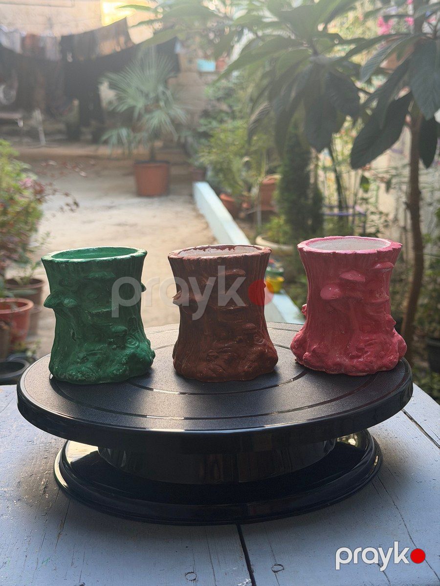 Dibçəklər — Bitkilər, Bakı (2)