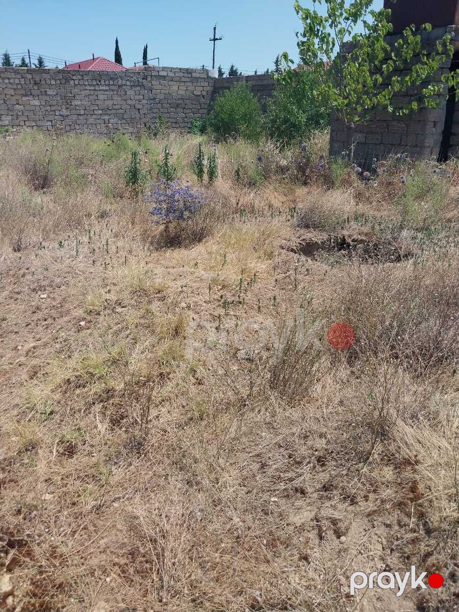 Satılır torpaq 8 sot — Torpaq, Bakı (4)