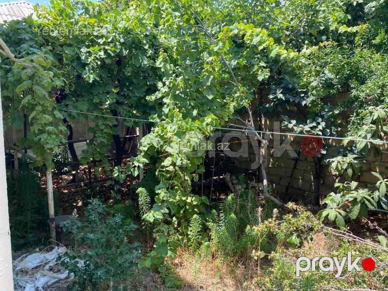 Satılır 3 otaqlı Həyət evi / Villa, 140 m², Yeni Corat (Novruz q.) — Ev, villa, Sumqayıt (5)